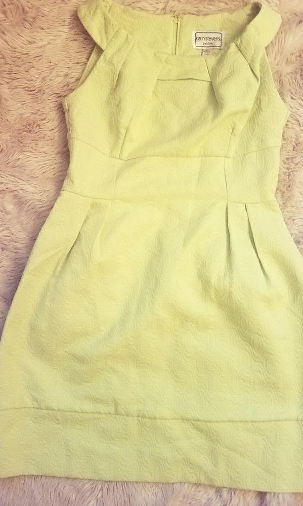 Karin Stevens dress